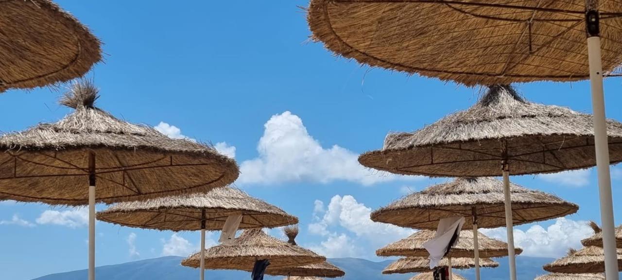 Odri * Vlorë
